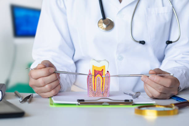 Best Emergency Care for Gum Disease in Crystal Lawns, IL